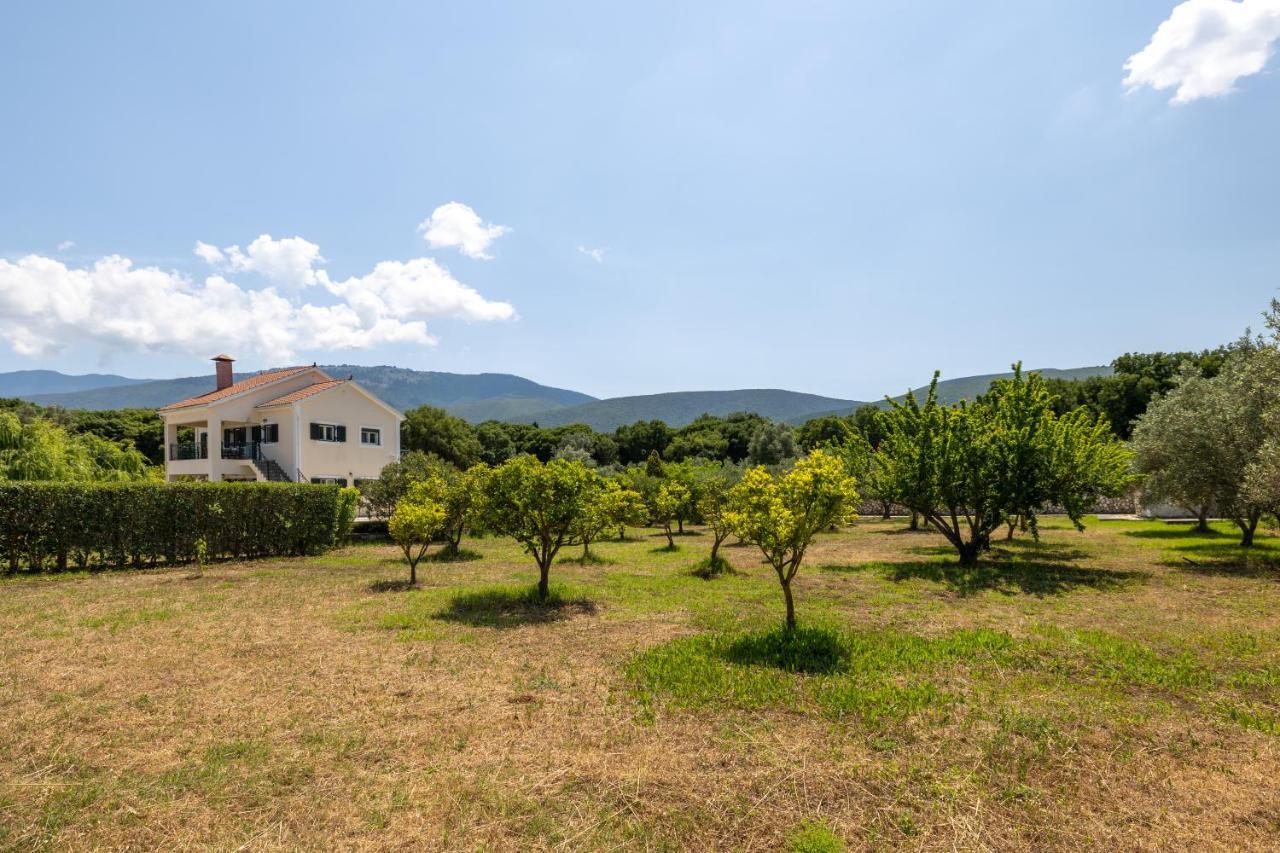 Arte Villa Nefeli Apartment Sami  Esterno foto